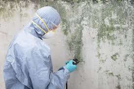 Mold Remediation for Rental Properties in Home Gardens, CA